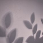 shadow